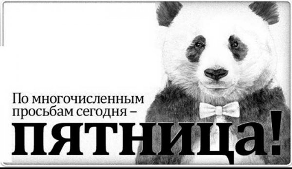 Панда пятница