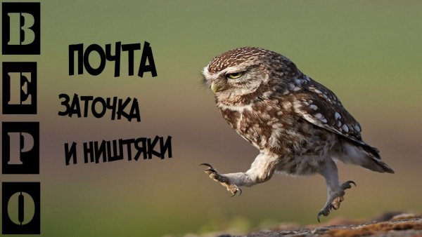 С добрым утром прикол пятница