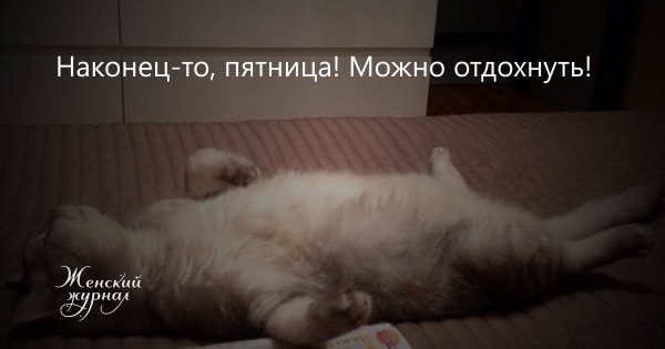 Наконец то пятница