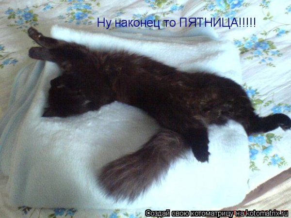 Пятница дождались