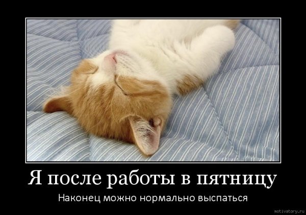 Наконец то пятница