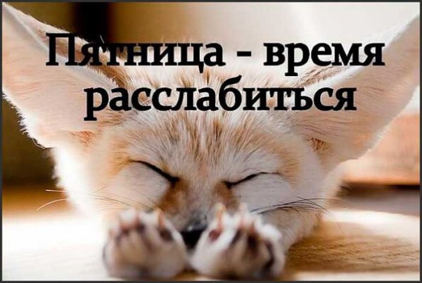 Позитив вечер пятницы
