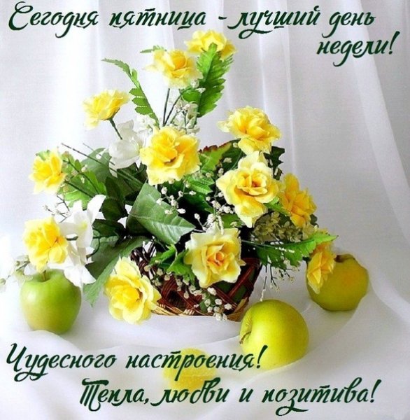 Пятница отдых