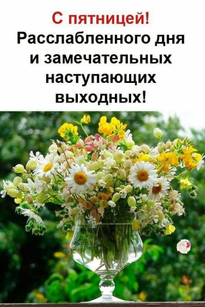 Утро пятницы