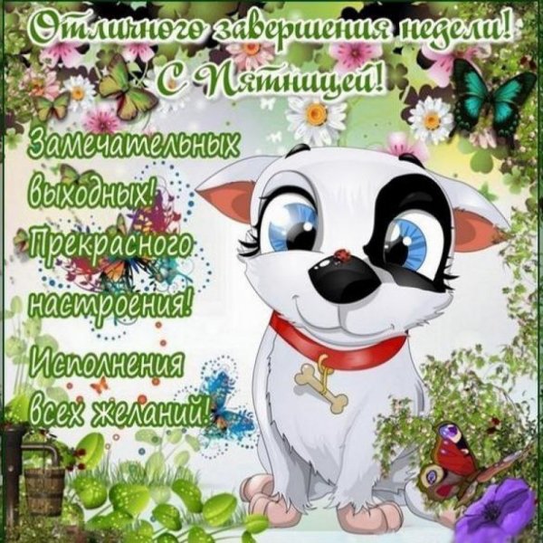 Доброе утро пятницы пожелания