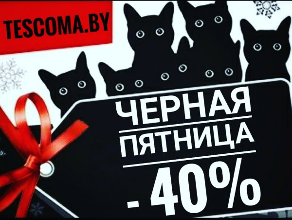 Черная пятница прикол