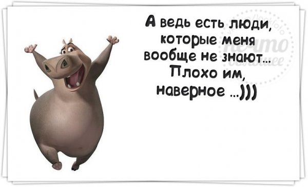 Веселые цитаты для поднятия настроения