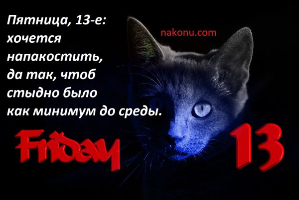 Пятница 13 приколы
