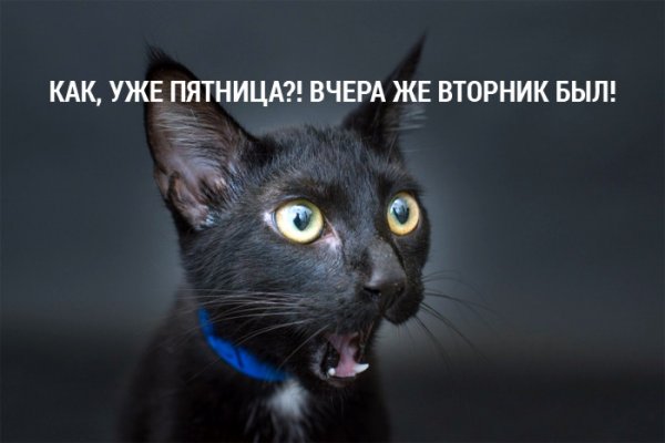 Сегодня уже пятница