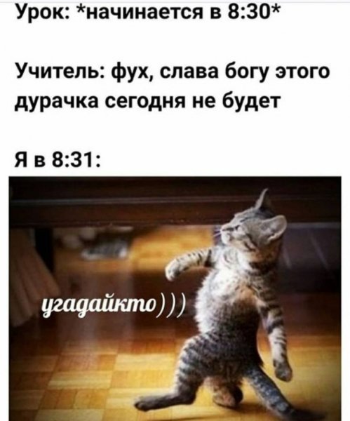 Учитель Слава Богу этого дурачка сегодня нет
