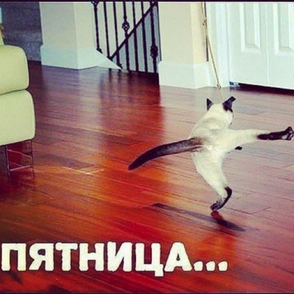 Наконец то пятница