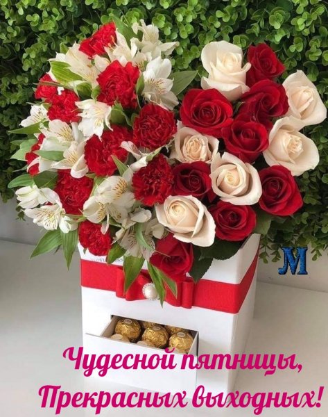 Прекрасной пятницы