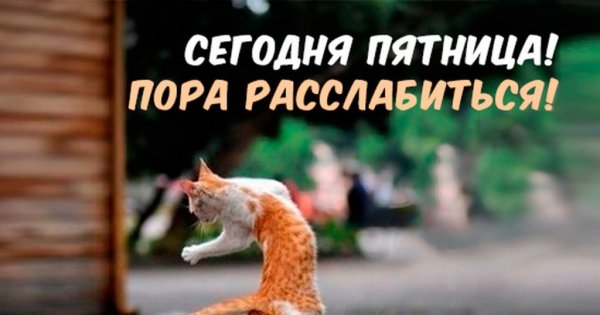 Пятница пора расслабиться