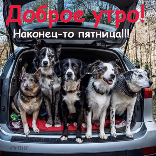 Наконец то пятница