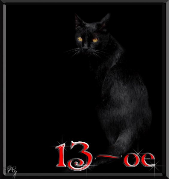 Пятница 13 черный кот