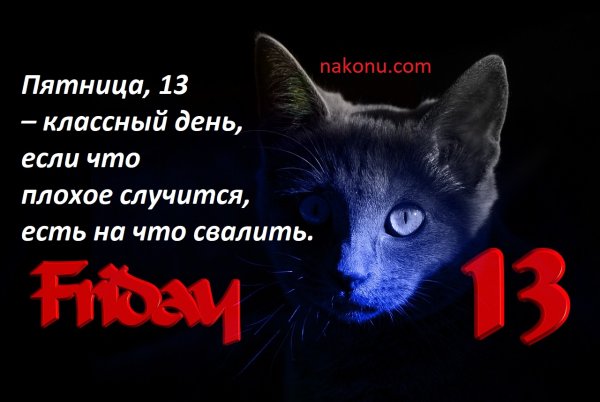Пятница 13 приколы