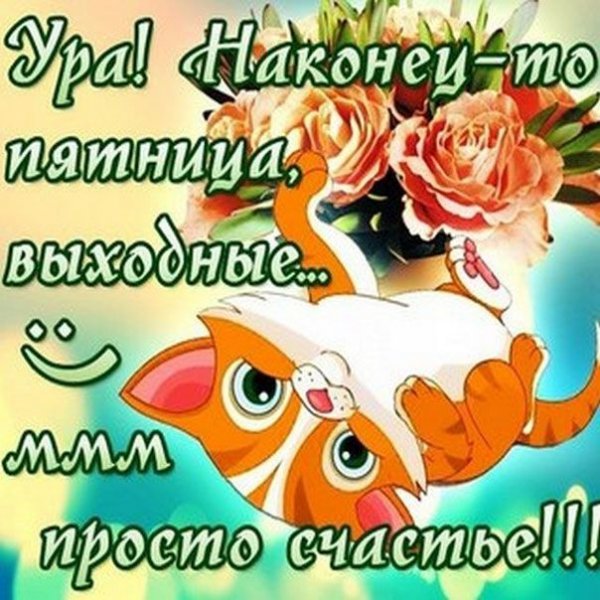 Доброе утро пятницы прикольные необычные