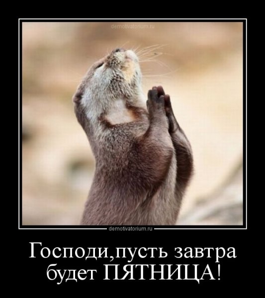 Завтра пятница прикольные