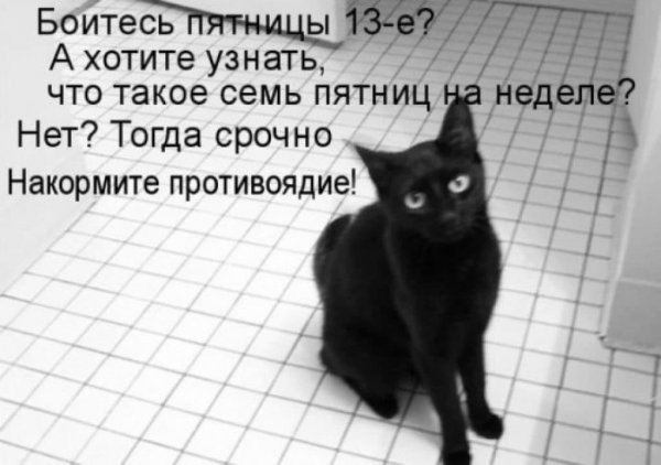 Пятница 13 картинки прикольные