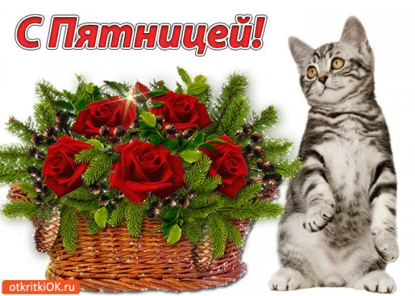 Пятница открытки красивые