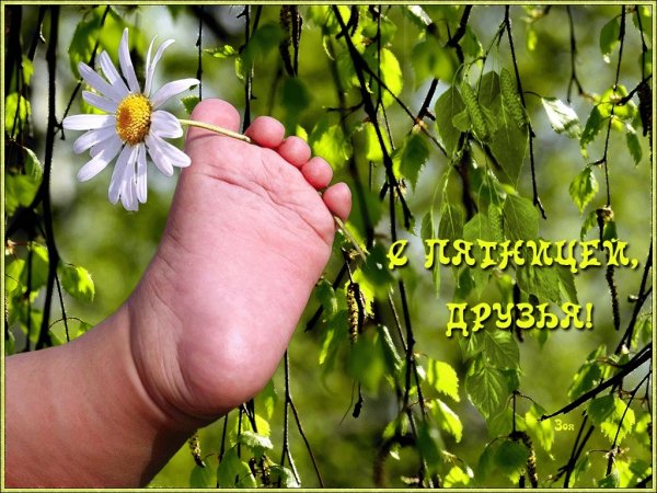 Доброе утро пятницы