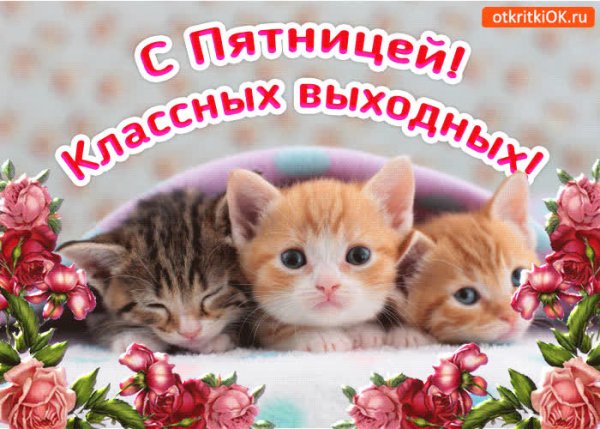 Хорошей пятницы и отличных выходных