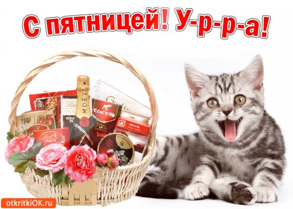 Прекрасной пятницы
