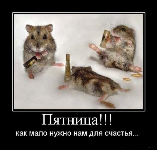 Пятница выпить