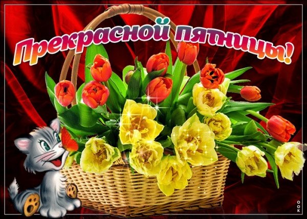Прекрасной пятницы