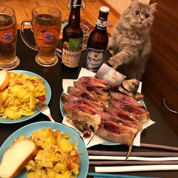 Тяпница прикольные