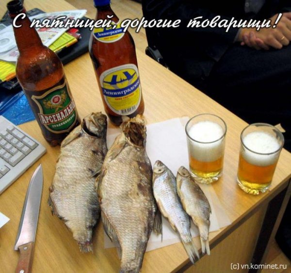 Пятница приколы