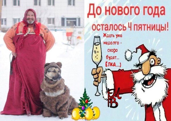 До нового года осталось приколы