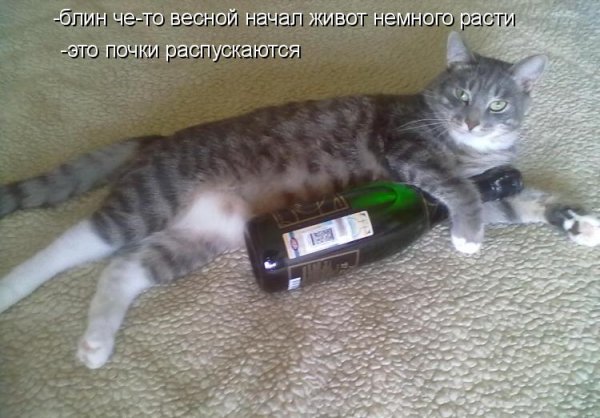 Выпить в пятницу картинки