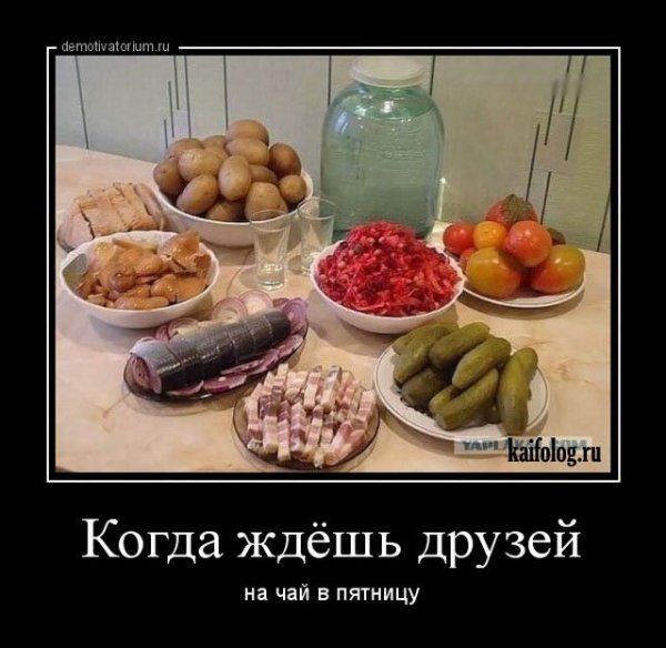 Закуска прикол