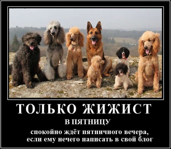 Пятница дождались