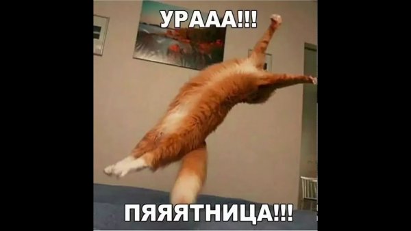Урааа пятница