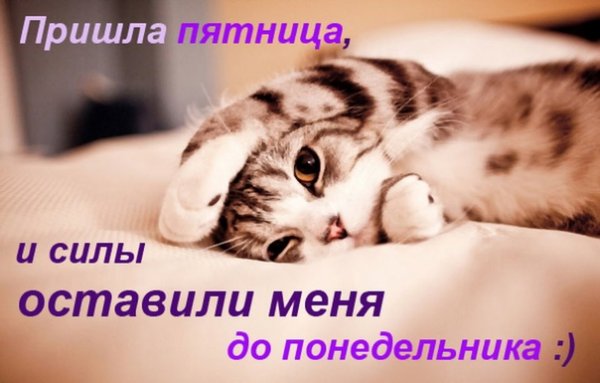 Спокойной ночи пятница