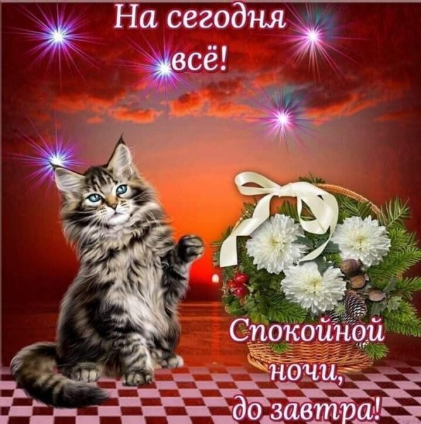 Спокойной ночи до завтра