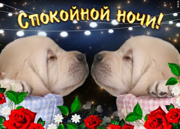 Спокойной ночи вторник