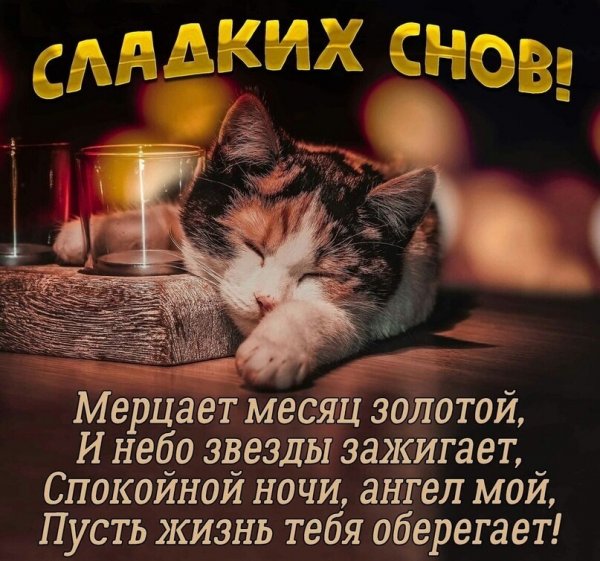 Пожелания спокойной ночи девушке