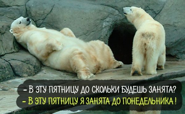 Пятница картинки прикольные