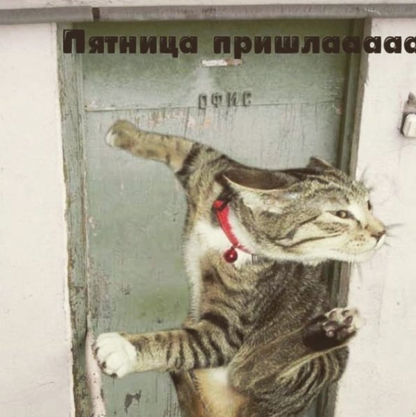Смешное про пятницу