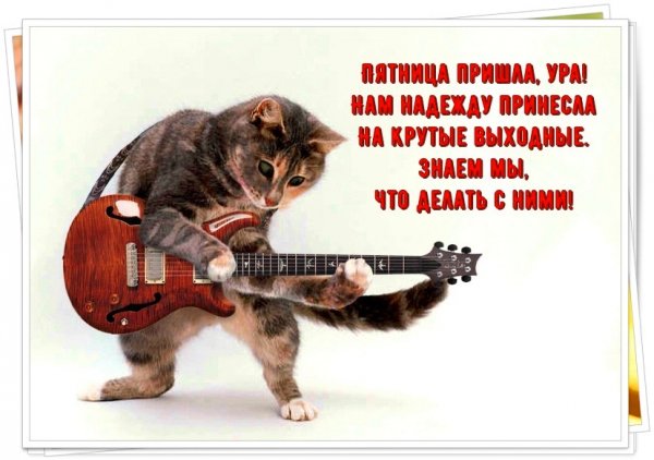 Яркой пятницы