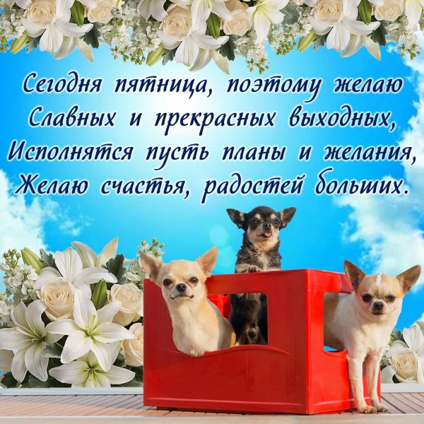 Всех с пятницей