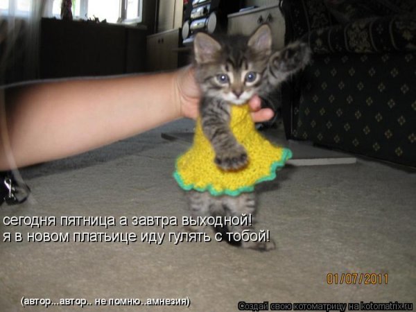 Ура пятница завтра выходной