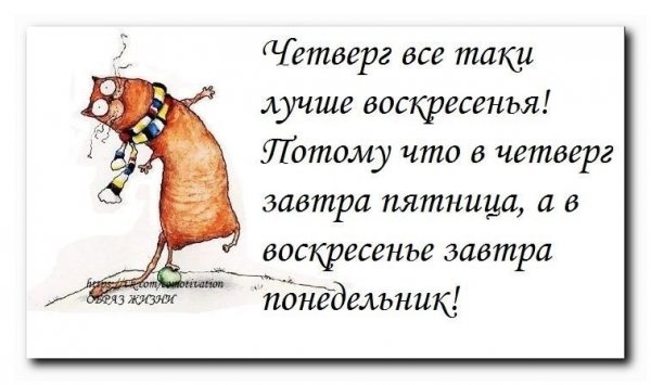 Шутки про четверг смешные