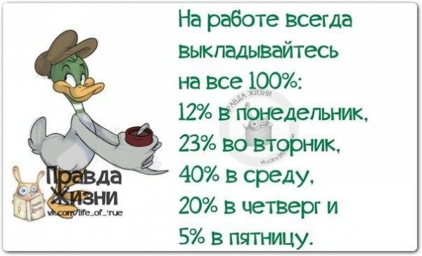 Смешные фразы про четверг
