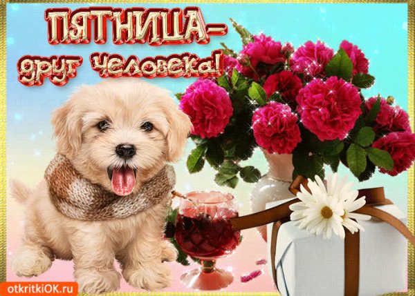 Собака поздравляет с пятницей