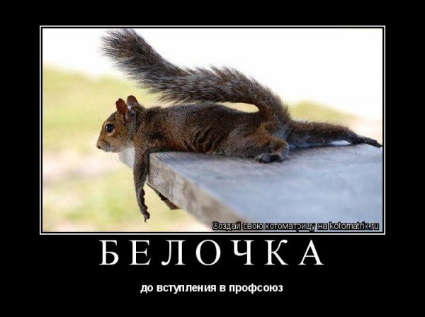 Пятничные демотиваторы