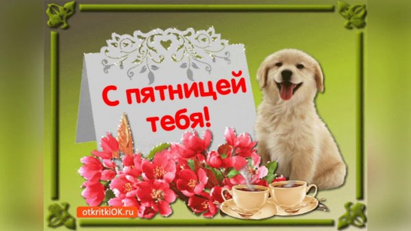 Открытка последняя пятница